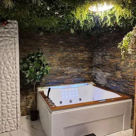 Appartement Avec Espace Detente Balneotherapie Carcassonne